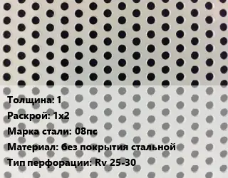 Лист перфорированный 1 1х2 Марка: 08пс без покрытия стальной Rv 25-30